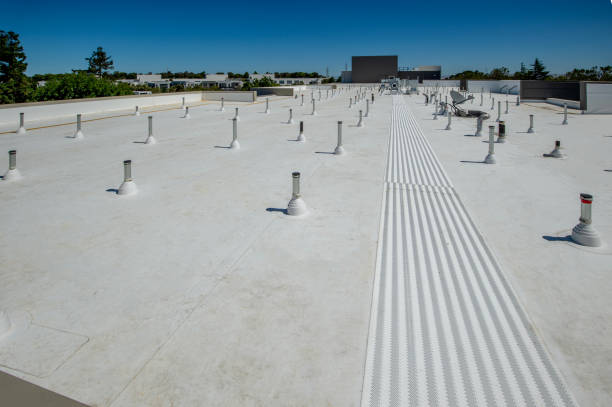 Best Roof Leak Repair  in Munising, MI
